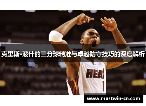 克里斯·波什的三分球精准与卓越防守技巧的深度解析